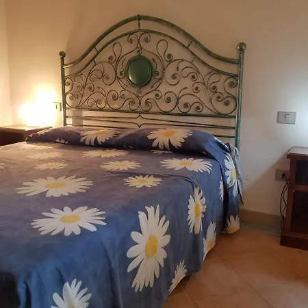 Le Mimose